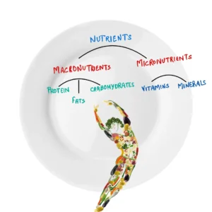 A simple infographic showing the different macronutrient and micronutrient categories with examples