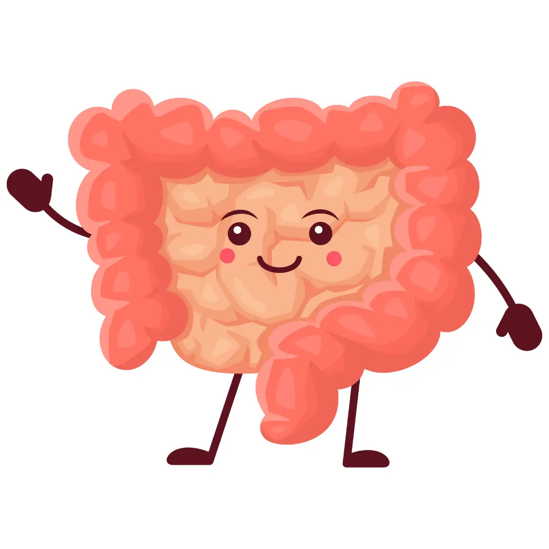 Better Gut Health and Digestion