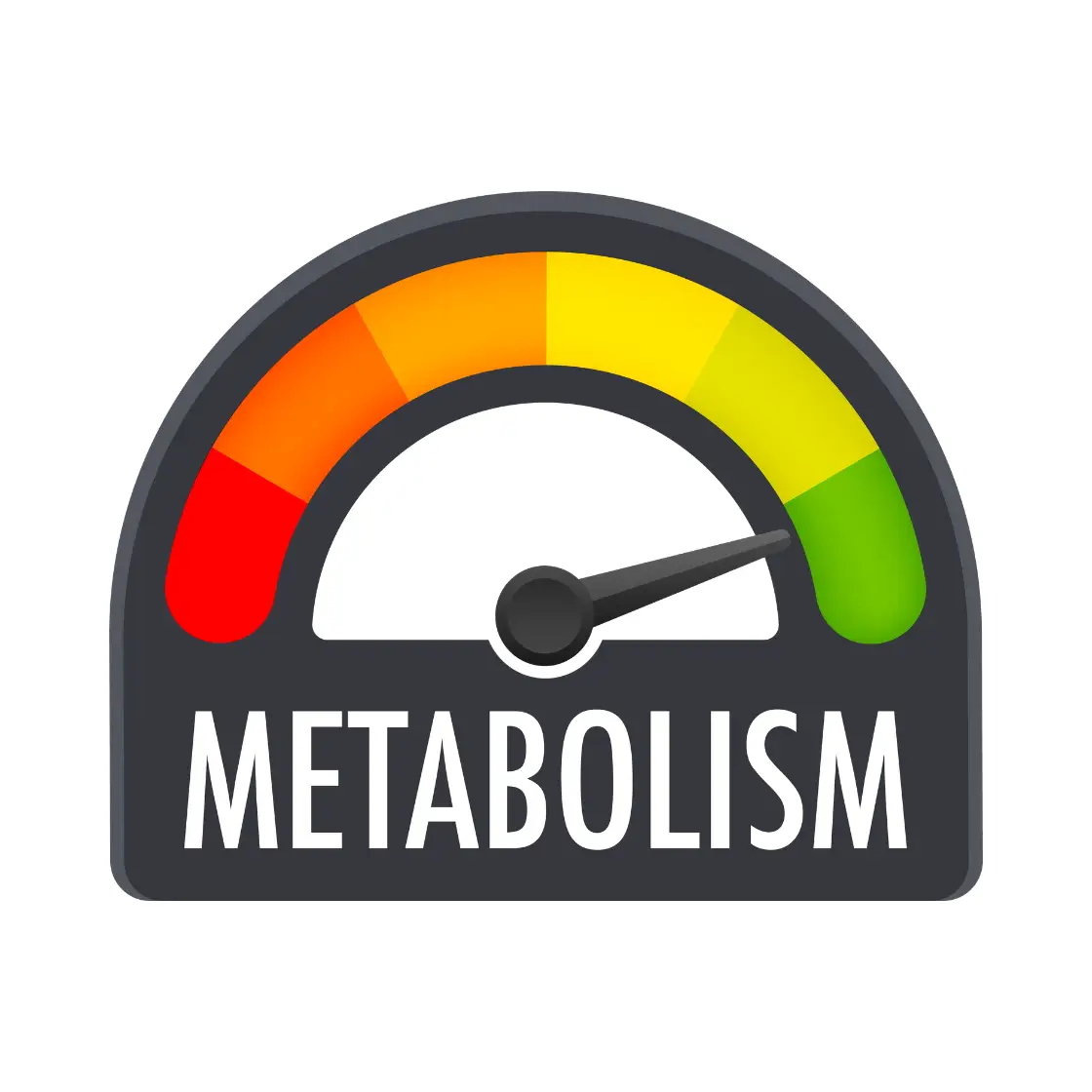Better Metabolic Health