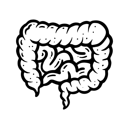 irritable bowel syndrome IBS