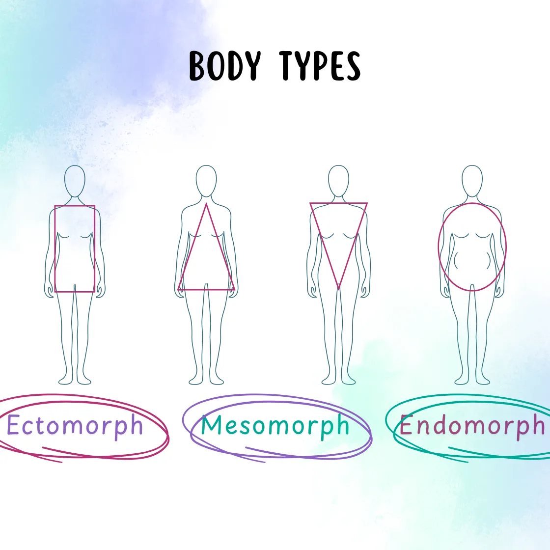 A comparison chart highlighting the characteristics of each body type